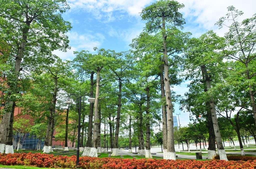 Guangzhou Baiyun International Convention Center Hotell Eksteriør bilde